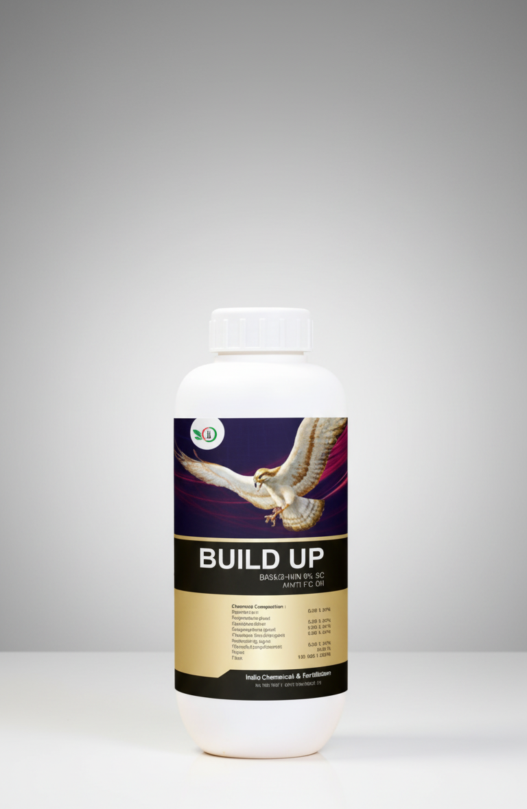Build UP